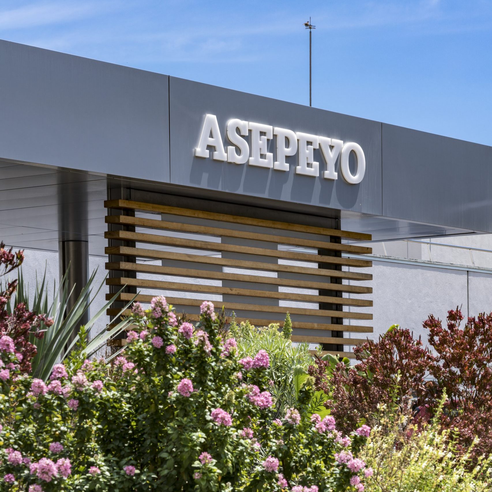 Los viernes científicos