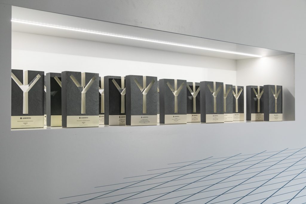 Entrevistas con consultores de prevención